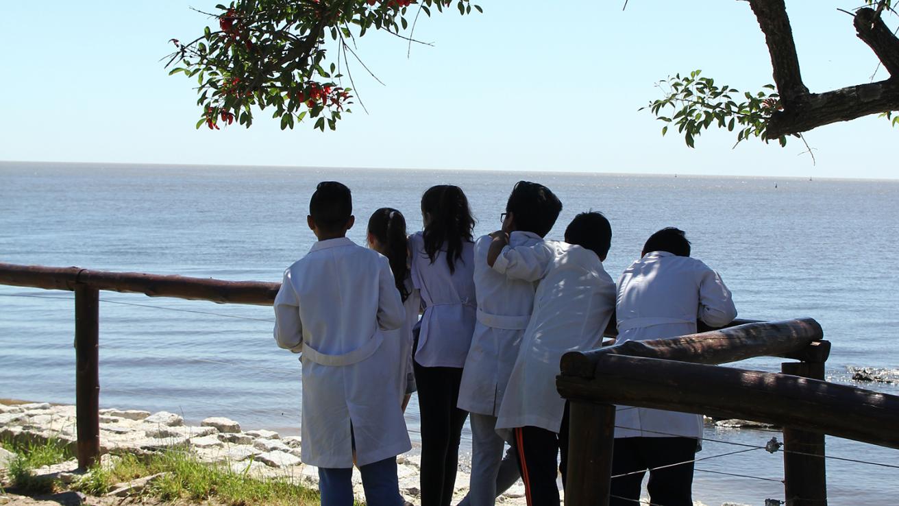 programas educativos